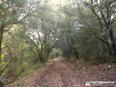 Hoces Río Riaza - Villa Ayllón; senderismo manzanares el real botas trekking madrid